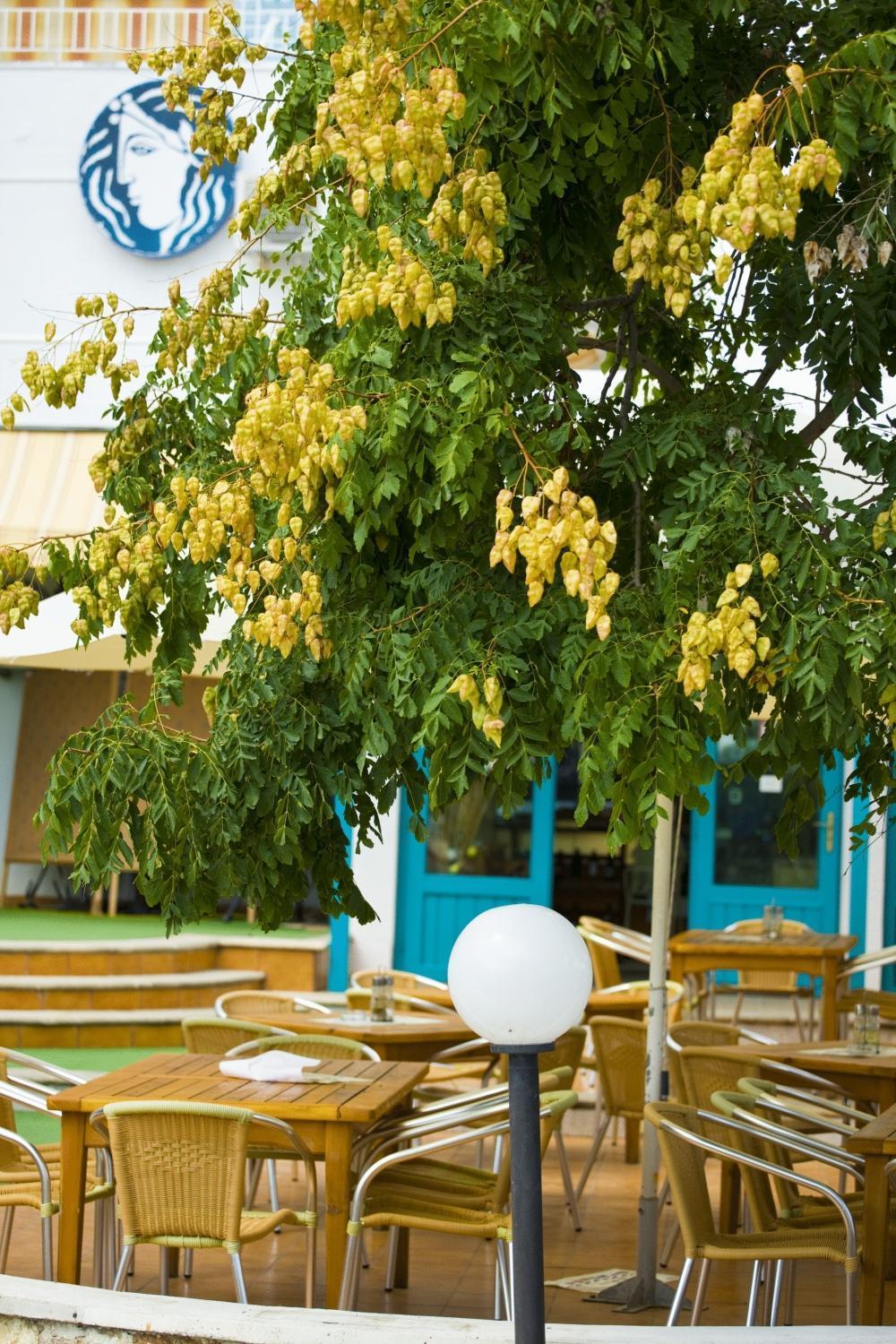 Kaliopa Hotel Albena Exteriér fotografie